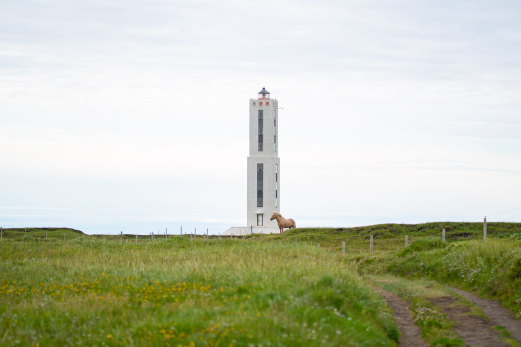 Viaje a Islandia 465