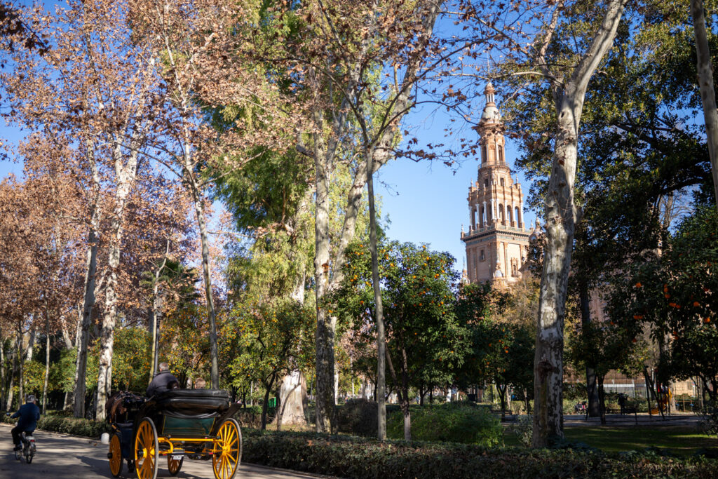 Vacaciones Sevilla 201
