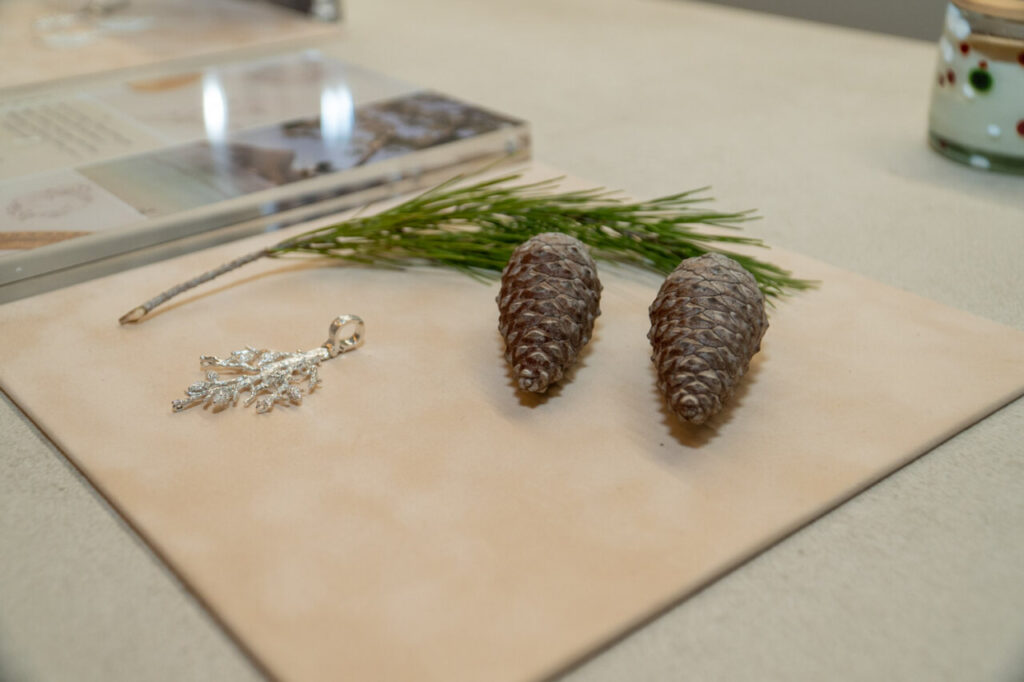 Isabel Guarch en Madrid 39