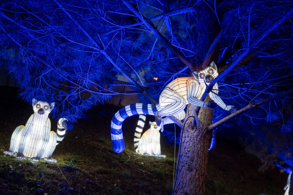 Parque de Los Lagos Getafe 54