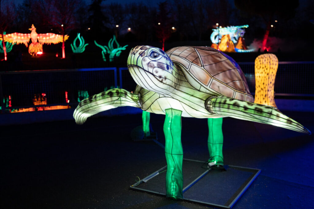 Parque de Los Lagos Getafe 48