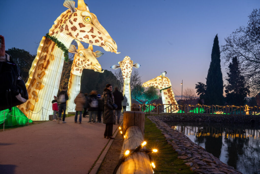 Parque de Los Lagos Getafe 33