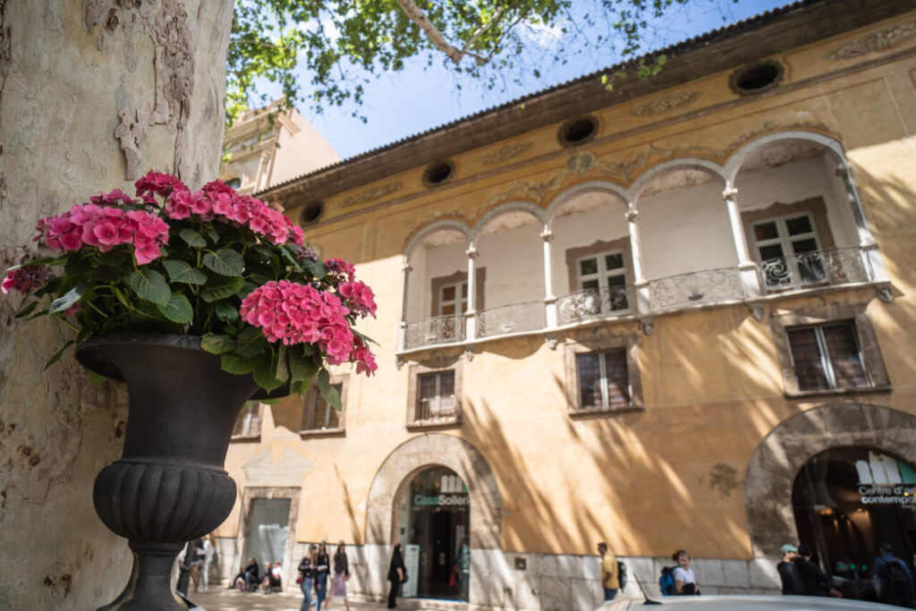 Flores rosadas en un florero frente al Casal Solleric en Palma