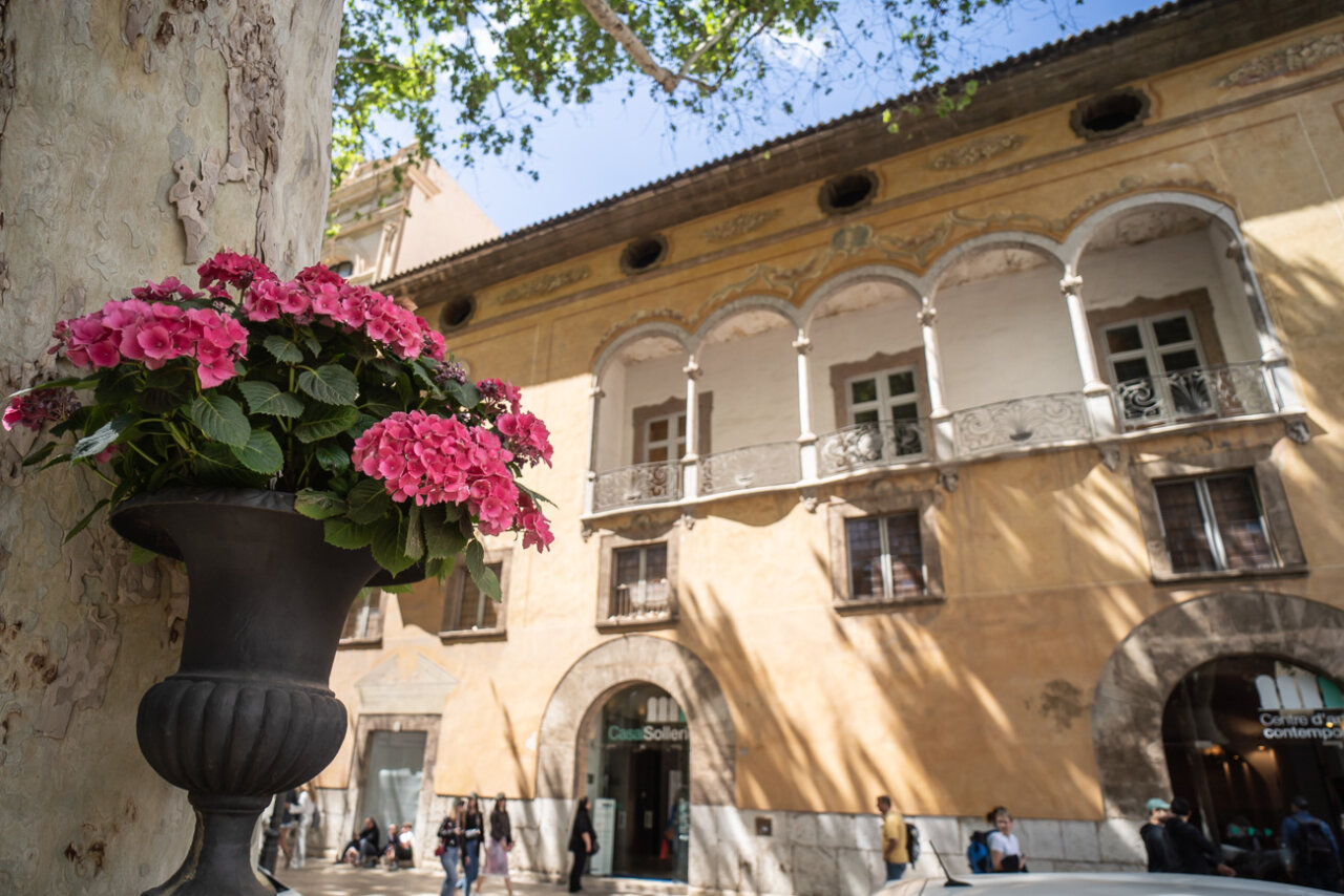 Flores rosadas en un florero frente al Casal Solleric en Palma