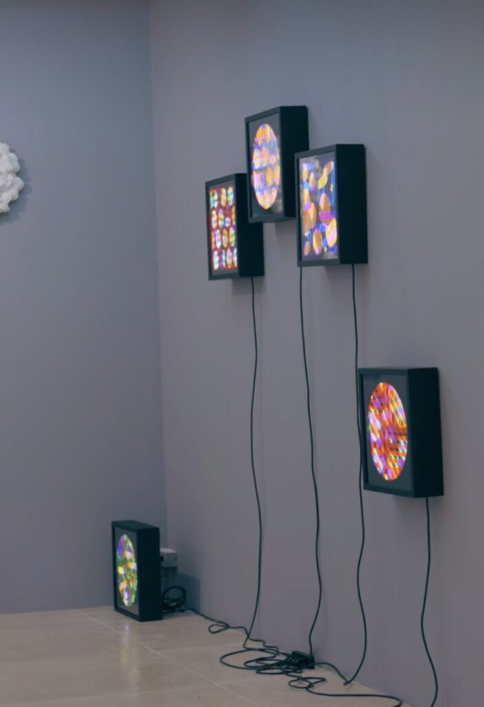 Instalación artística con pantallas iluminadas en una galería moderna.