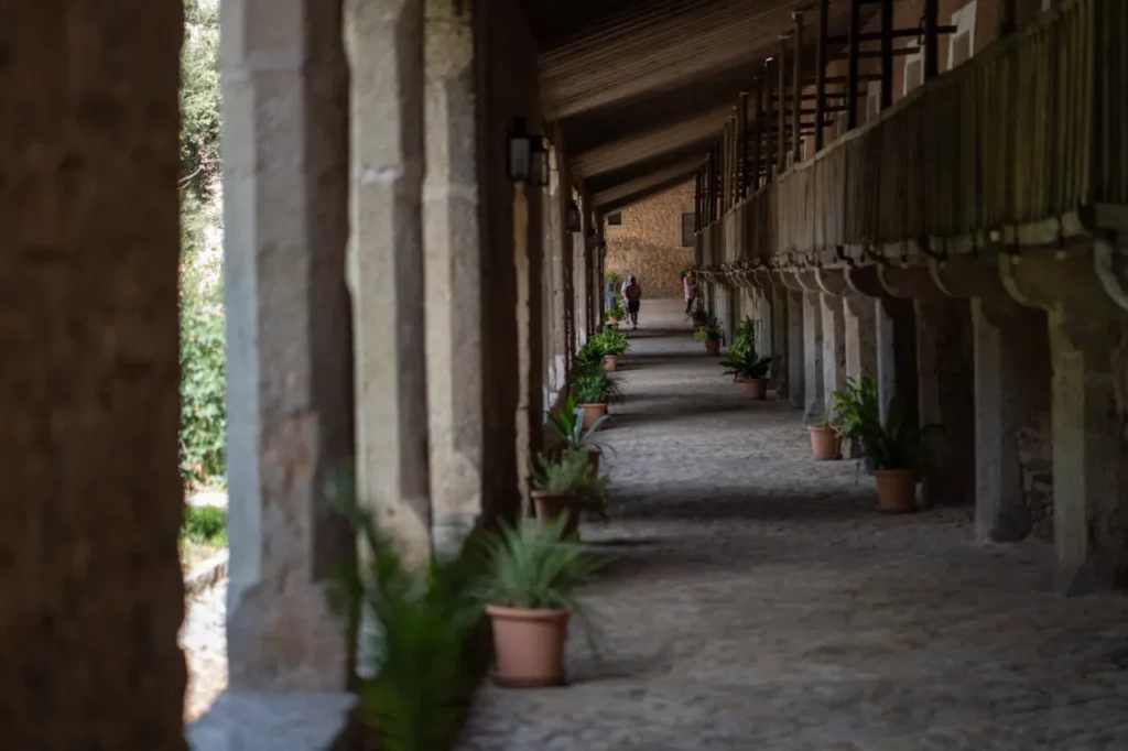 Pasillo de un refugio de montaña en Mallorca con plantas decorativas
