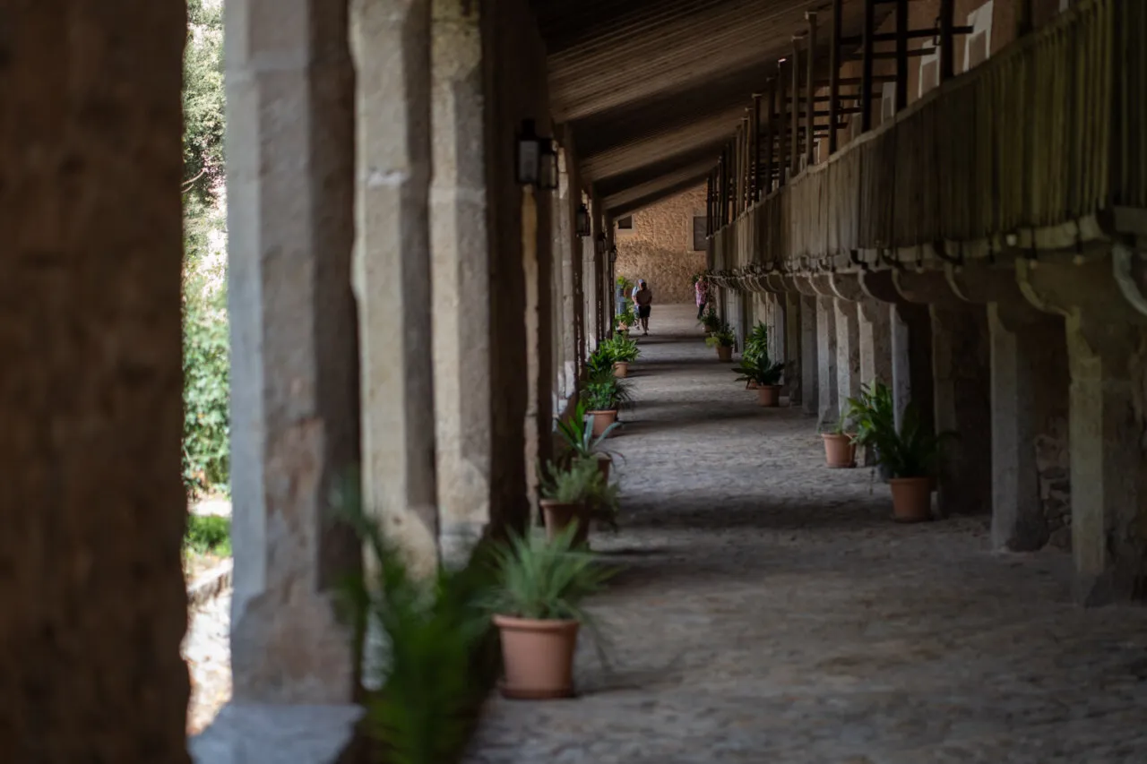 Pasillo de un refugio de montaña en Mallorca con plantas decorativas