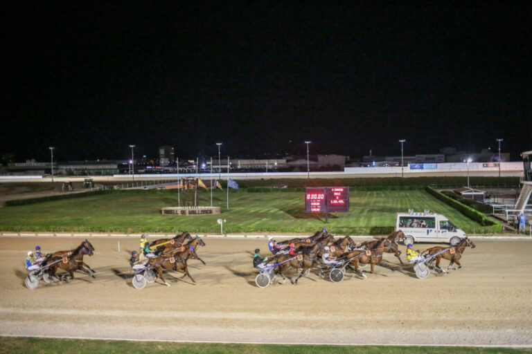 Carrera de trote en el hipódromo de Mallorca durante la noche.