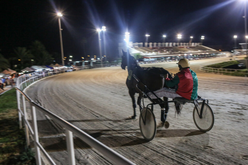 Carrera de trote en el hipódromo de Son Pardo durante la noche
