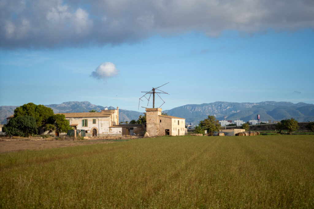 Vista de un molino y campos en El Molinar, Palma.