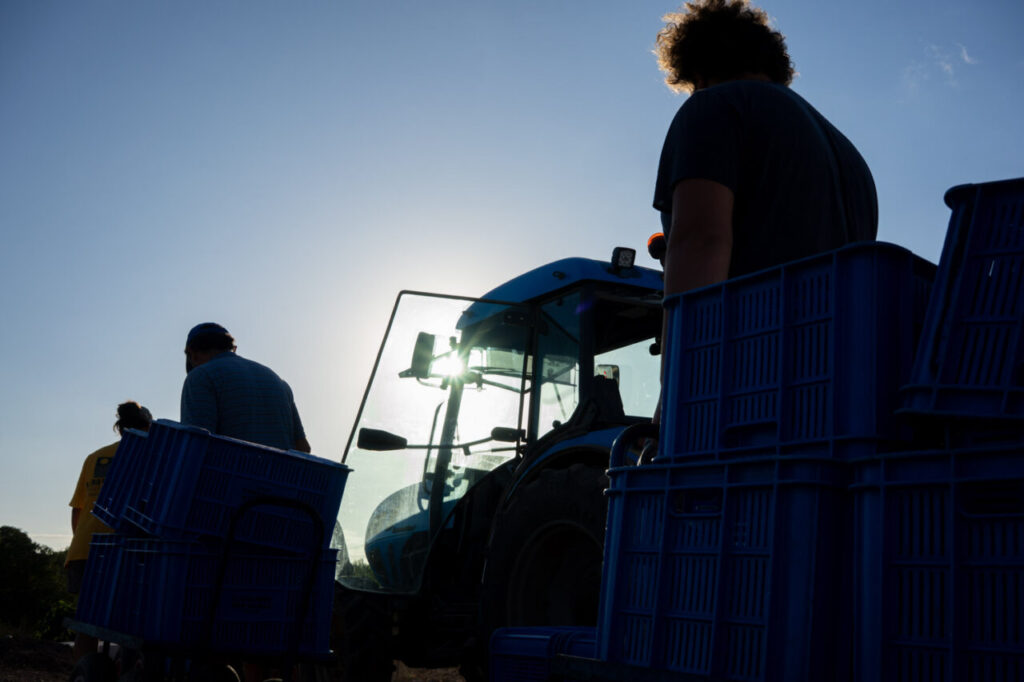 Personas trabajando en el campo con un tractor y cajas azules