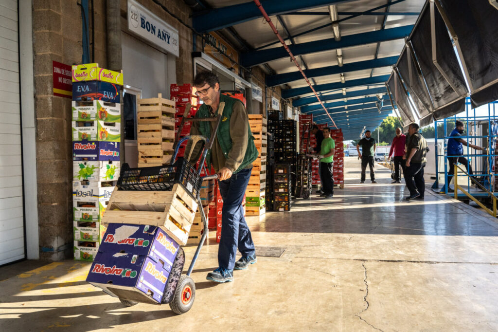 Hombre transportando cajas en un mercado de Mallorca