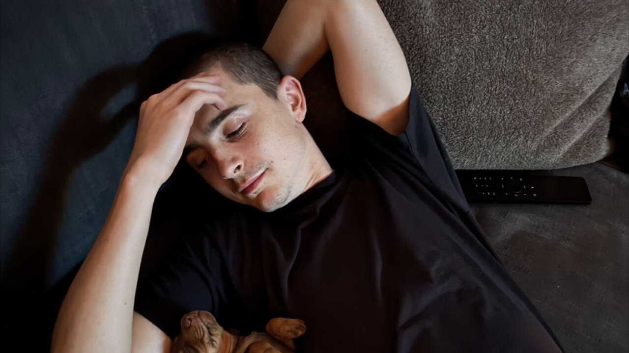 Timothée Chalamet descansando en un sofá con un perro