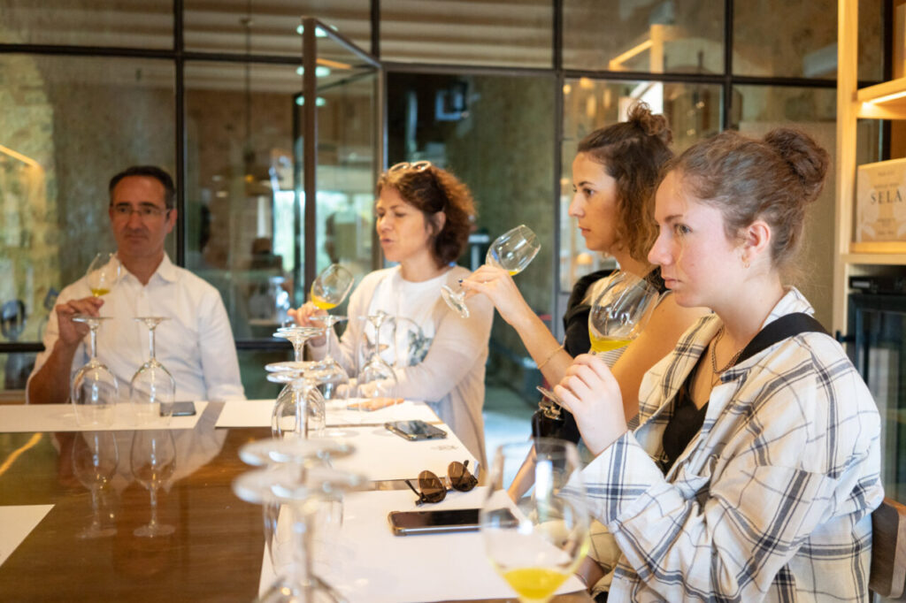 Grupo de personas disfrutando de una cata de aceite en Mallorca