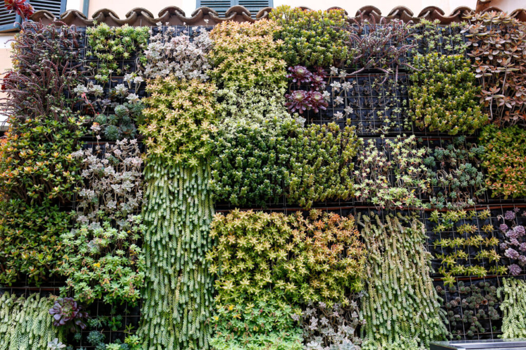 Jardín vertical con diversas plantas suculentas en un diseño sostenible