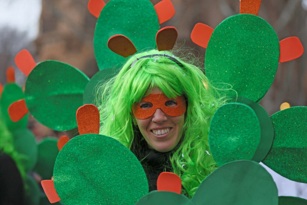 Sa Rua 2026 desborda el centro de Palma con una participación récord de carrozas y comparsas 18 Persona disfrazada de cactus con peluca verde en el Carnaval de Palma