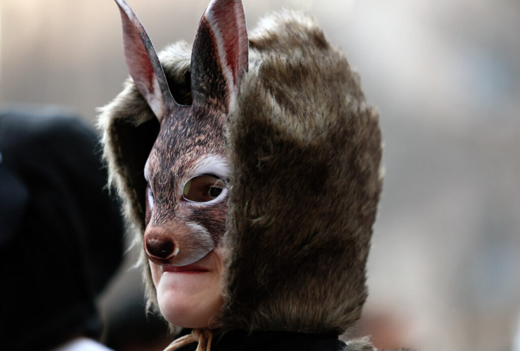 Sa Rua 2026 desborda el centro de Palma con una participación récord de carrozas y comparsas 12 Niño con máscara de animal en el Carnaval de Palma 2026