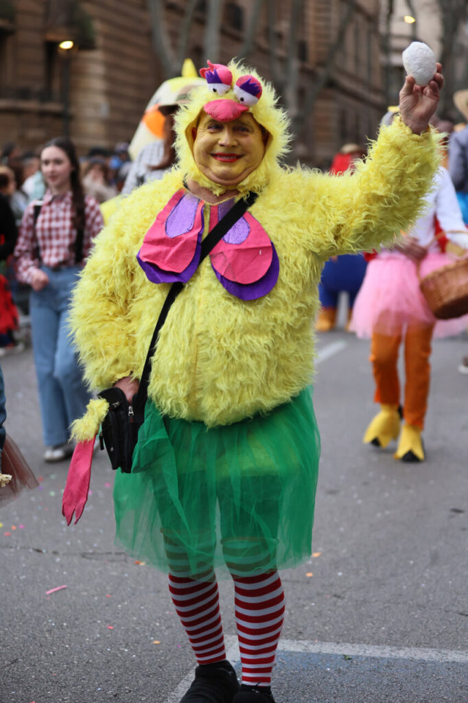Sa Rua 2026 desborda el centro de Palma con una participación récord de carrozas y comparsas 21 Persona disfrazada de ave amarilla en el Carnaval de Palma 2026