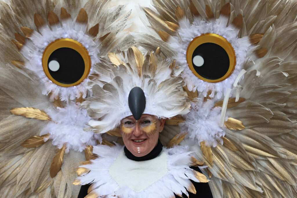 Sa Rua 2026 desborda el centro de Palma con una participación récord de carrozas y comparsas 2 Persona disfrazada con plumas doradas y ojos grandes en el Carnaval de Palma