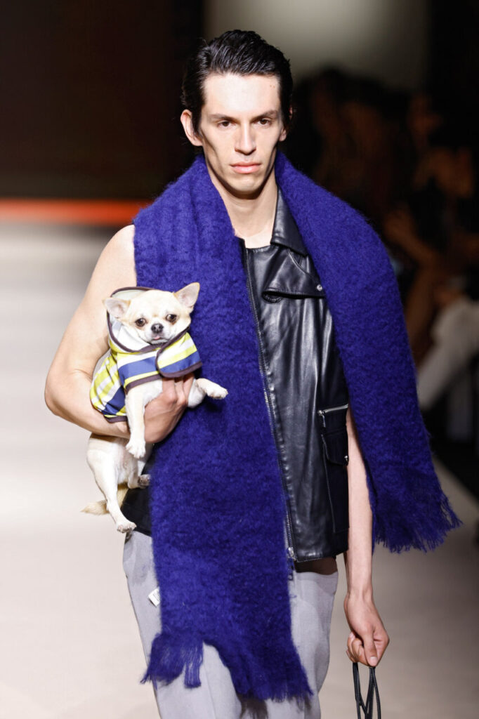 Modelo con abrigo morado y perro en pasarela de moda