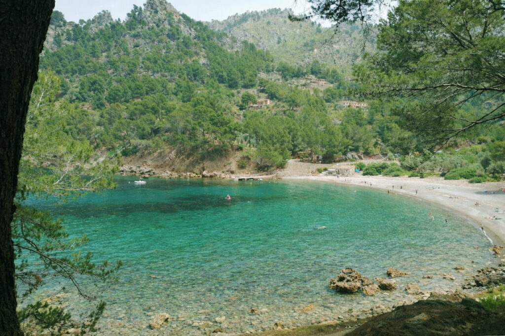 Antes de que lleguen los turistas: las cinco calas vírgenes de Mallorca que debes visitar ahora 5 Vista panorámica de Cala Tuent con agua cristalina y montañas