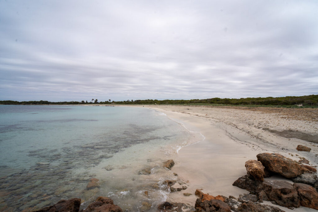 Antes de que lleguen los turistas: las cinco calas vírgenes de Mallorca que debes visitar ahora 1 Playa Es Caragol con arena fina y agua clara en Mallorca