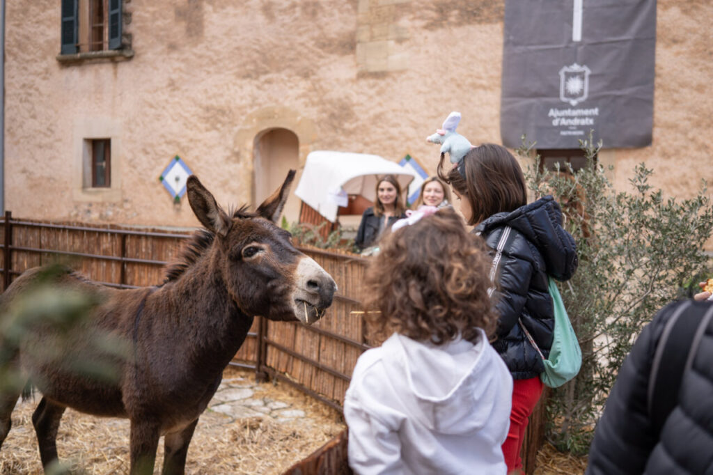 Niños interactuando con un burro en la Fira de Andratx