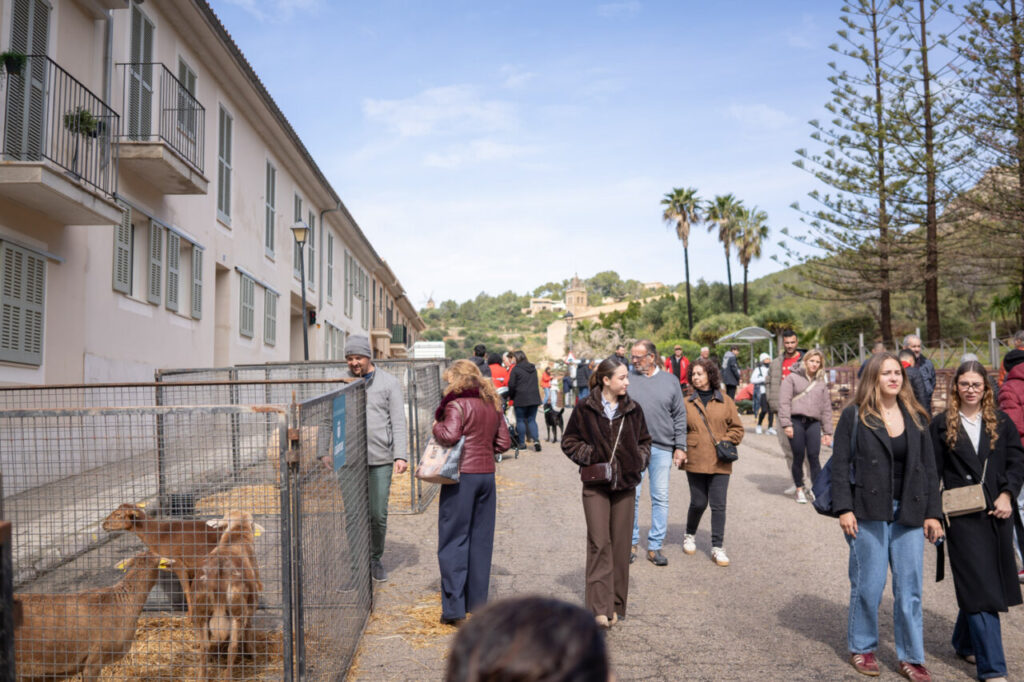 Personas caminando en la Fira de Andratx con cabras en jaulas