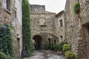 Calle empedrada en un pueblo del Pirineo catalán con plantas