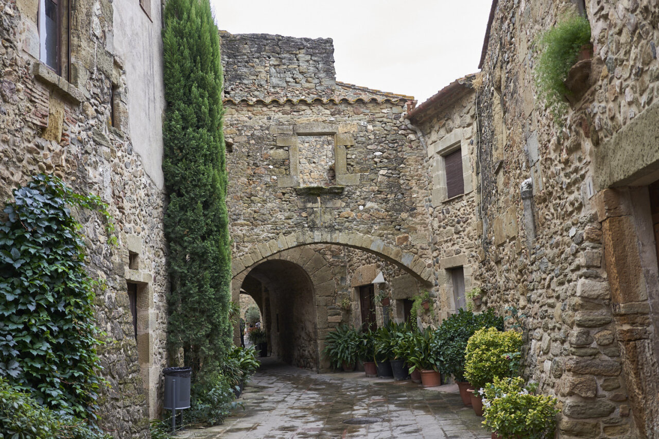 Calle empedrada en un pueblo del Pirineo catalán con plantas