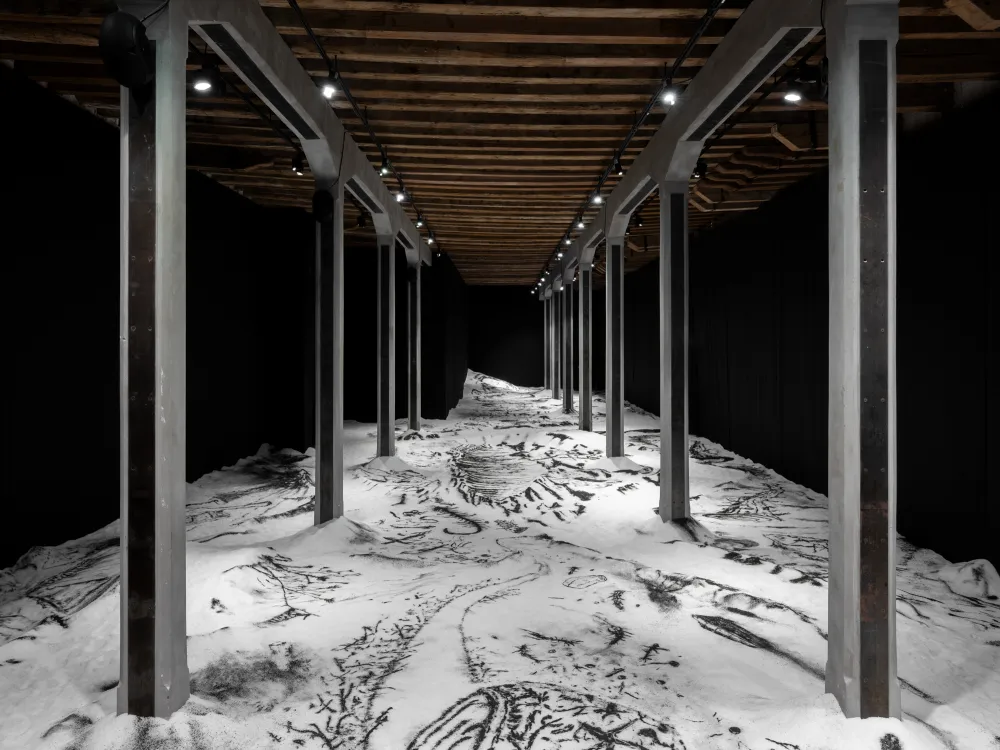 Instalación artística en el Pabellón de Argentina en la Bienal de Venecia