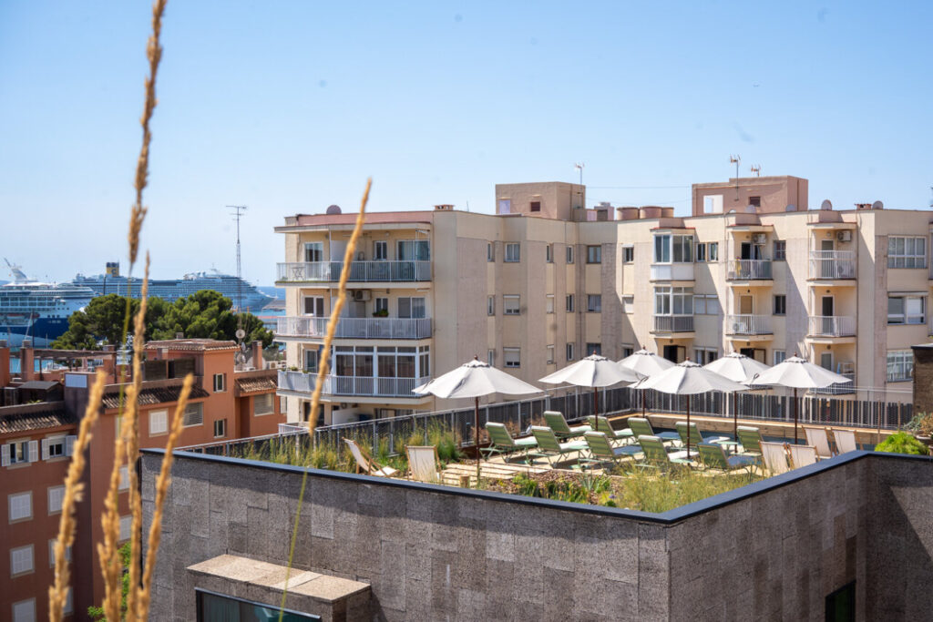 Terreno Barrio Hotel: el barrio que se hizo hotel en Palma 5 Vista de la azotea del Terreno Barrio Hotel en Palma